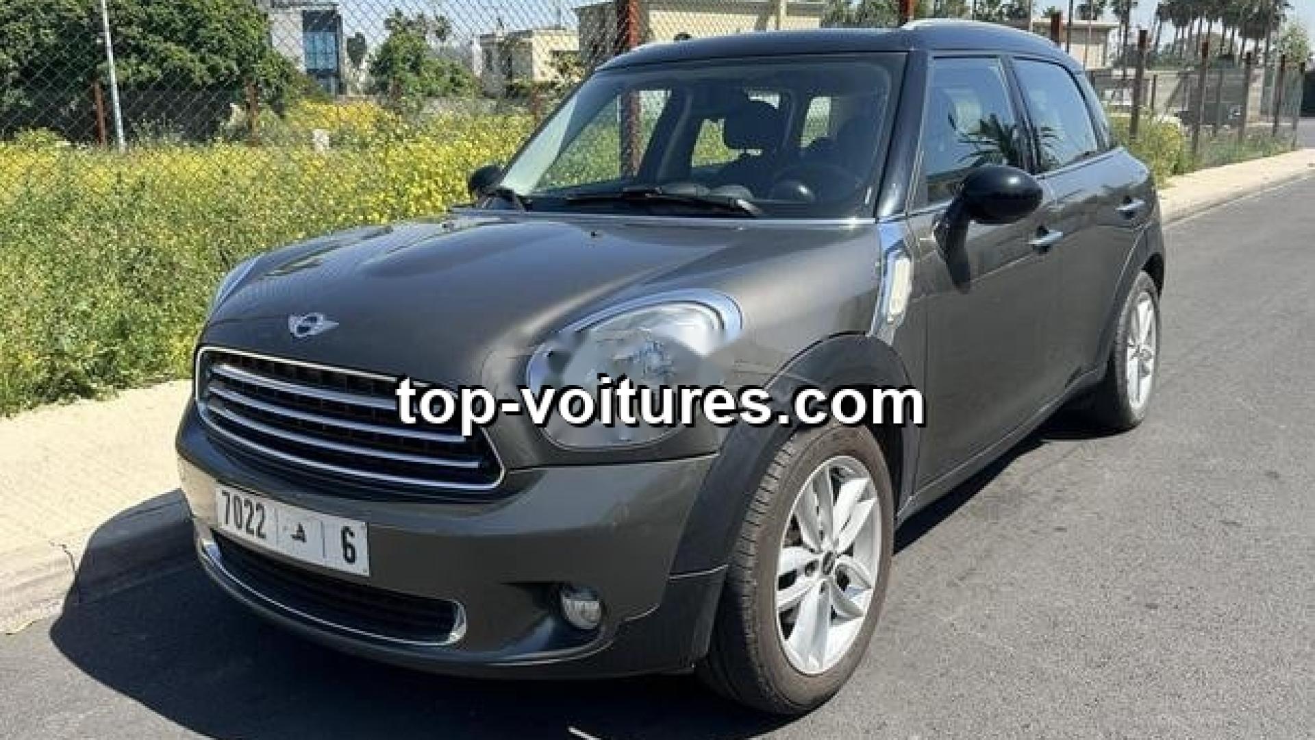Mini Countryman